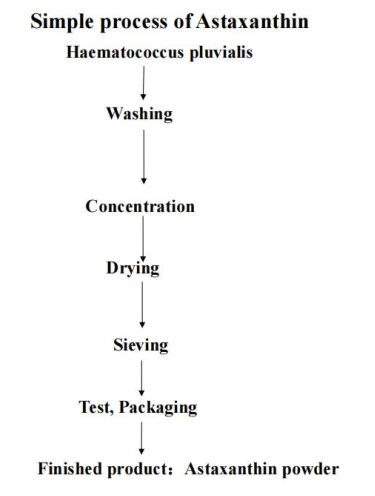 flow chart