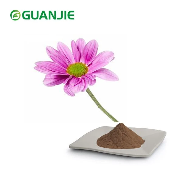 Prášok extraktu Echinacea Purpurea
