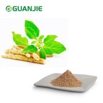 Extrakt Ashwagandha